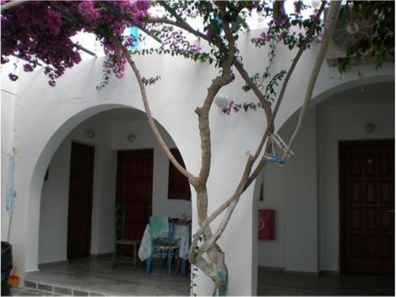 Aparthotel Artemis Pension à Chora d'Ios Extérieur photo